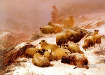 トーマス・シドニー・クーパー Painting - 冬の寒さ 羊の家畜 トーマス・シドニー・クーパー
